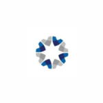 Physiotherapist