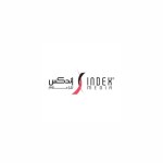 Social Media Executive