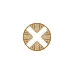 TownX Real Estate Development LLC